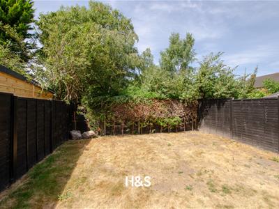 Picture 14